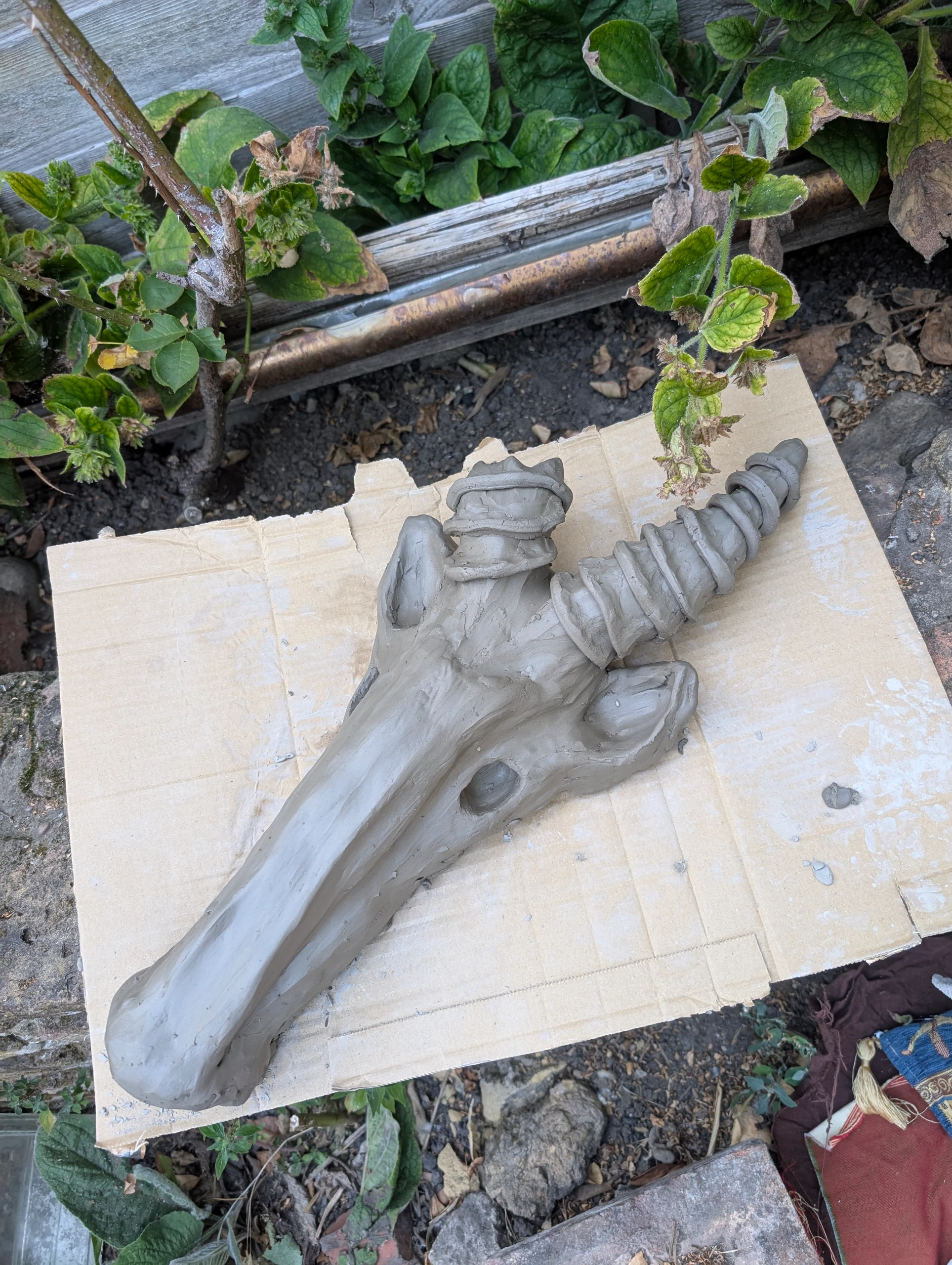 sculpting a borzoi-beisa hybrid head